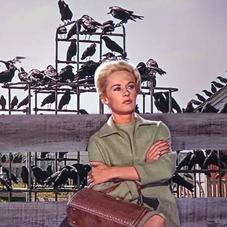 Tippi Hedren in The Birds