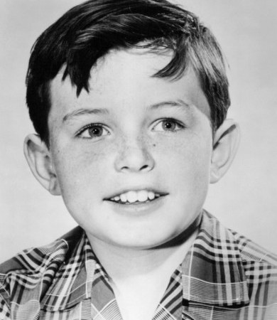 Jerry Mathers as the Beaver