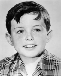 Jerry Mathers as the Beaver