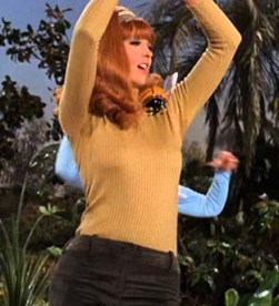 Ginger as a member of The Honeybees